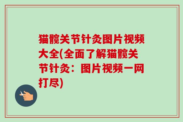 猫髋关节针灸图片视频大全(全面了解猫髋关节针灸：图片视频一网打尽)