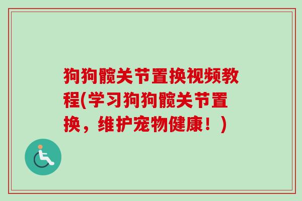 狗狗髋关节置换视频教程(学习狗狗髋关节置换，维护宠物健康！)