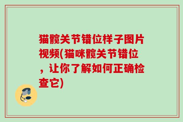 猫髋关节错位样子图片视频(猫咪髋关节错位，让你了解如何正确检查它)