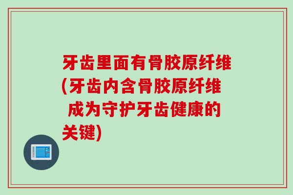 牙齿里面有骨胶原纤维(牙齿内含骨胶原纤维 成为守护牙齿健康的关键)