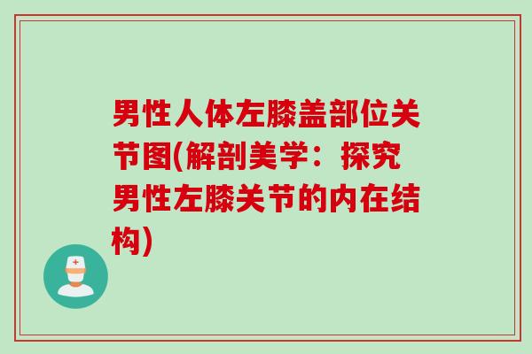 男性人体左膝盖部位关节图(解剖美学：探究男性左膝关节的内在结构)