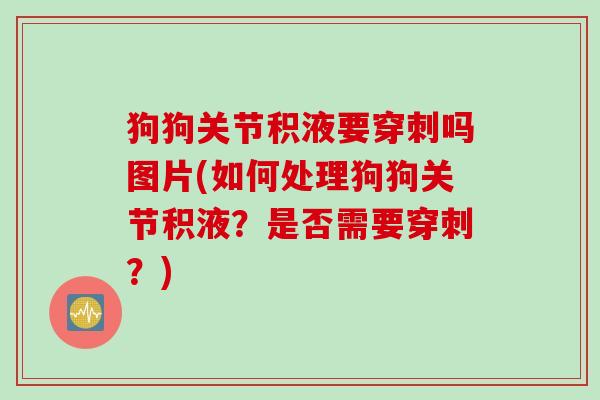 狗狗关节积液要穿刺吗图片(如何处理狗狗关节积液？是否需要穿刺？)