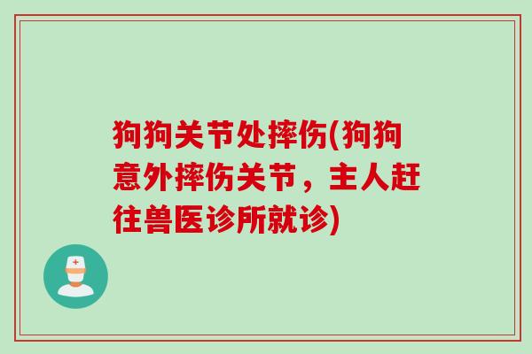狗狗关节处摔伤(狗狗意外摔伤关节，主人赶往兽医诊所就诊)