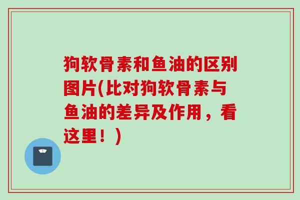 狗软骨素和鱼油的区别图片(比对狗软骨素与鱼油的差异及作用，看这里！)