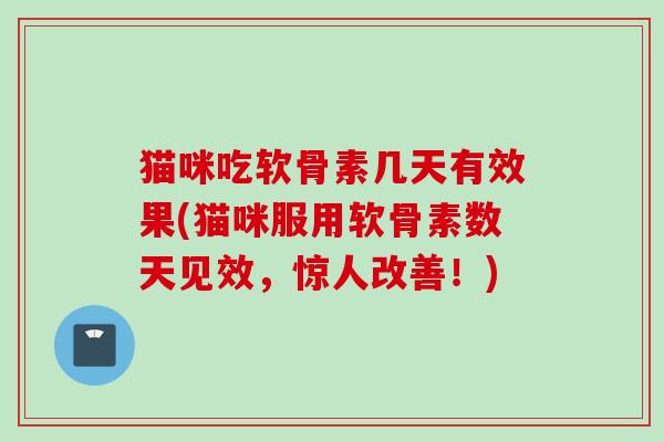 猫咪吃软骨素几天有效果(猫咪服用软骨素数天见效，惊人改善！)