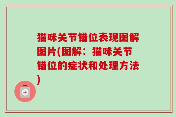 猫咪关节错位表现图解图片(图解：猫咪关节错位的症状和处理方法)