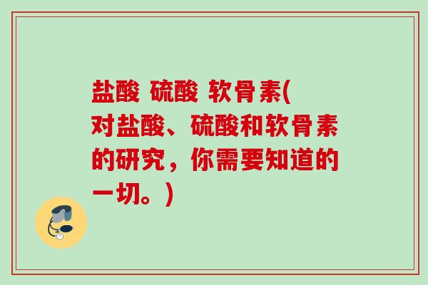 盐酸 硫酸 软骨素(对盐酸、硫酸和软骨素的研究，你需要知道的一切。)