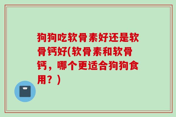 狗狗吃软骨素好还是软骨钙好(软骨素和软骨钙，哪个更适合狗狗食用？)