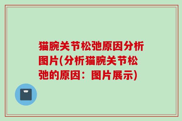 猫腕关节松弛原因分析图片(分析猫腕关节松弛的原因：图片展示)