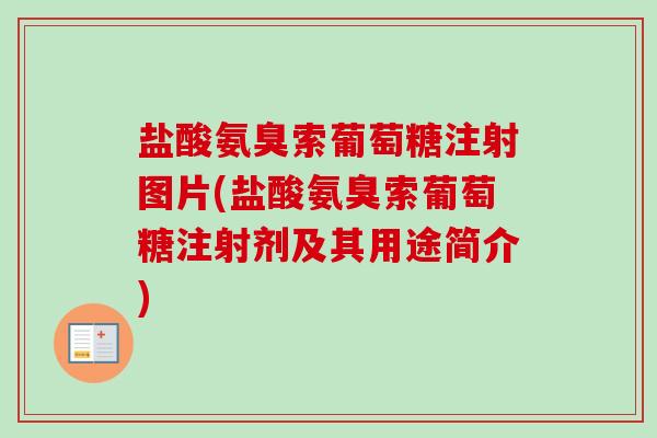 盐酸氨臭索葡萄糖注射图片(盐酸氨臭索葡萄糖注射剂及其用途简介)