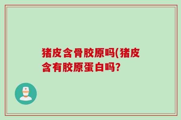 猪皮含骨胶原吗(猪皮含有胶原蛋白吗？
