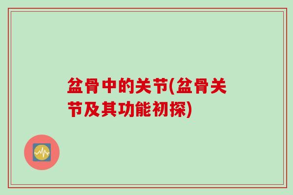 盆骨中的关节(盆骨关节及其功能初探)