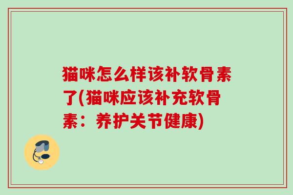 猫咪怎么样该补软骨素了(猫咪应该补充软骨素：养护关节健康)