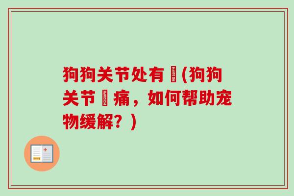 狗狗关节处有廯(狗狗关节廯痛，如何帮助宠物缓解？)