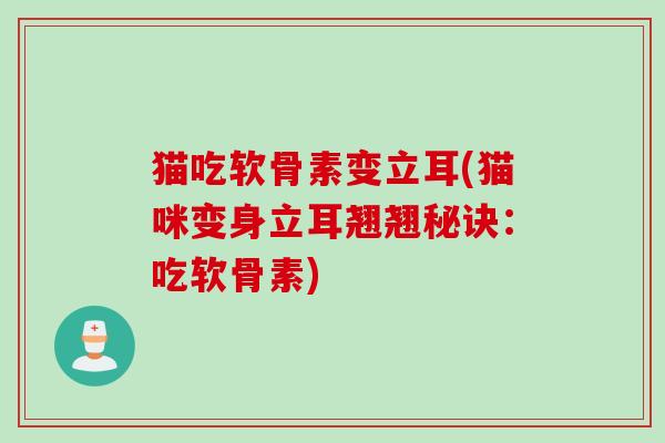 猫吃软骨素变立耳(猫咪变身立耳翘翘秘诀：吃软骨素)