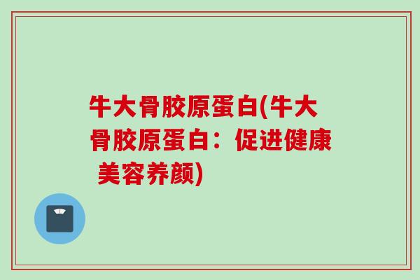 牛大骨胶原蛋白(牛大骨胶原蛋白：促进健康 美容养颜)