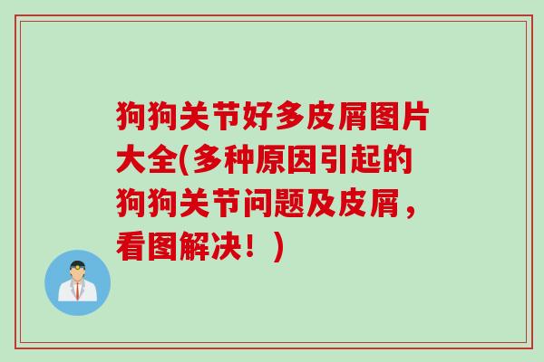 狗狗关节好多皮屑图片大全(多种原因引起的狗狗关节问题及皮屑，看图解决！)