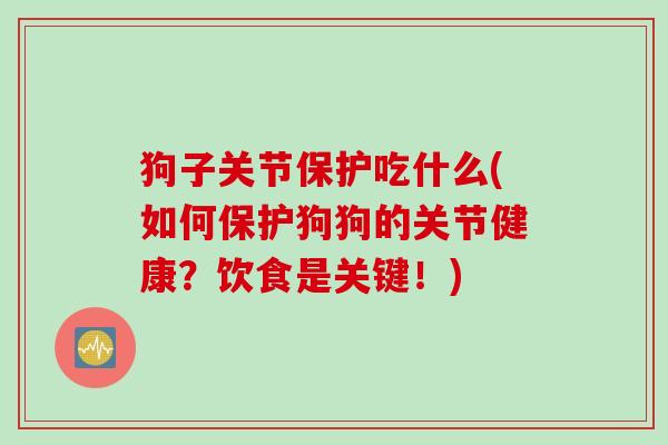 狗子关节保护吃什么(如何保护狗狗的关节健康?饮食是关键!) 狗子关节保护吃什么(如何保护狗狗的关节健康?饮食是关键!)