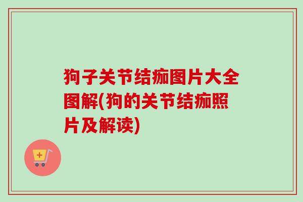 狗子关节结痂图片大全图解(狗的关节结痂照片及解读)