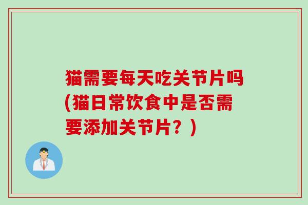 猫需要每天吃关节片吗(猫日常饮食中是否需要添加关节片？)