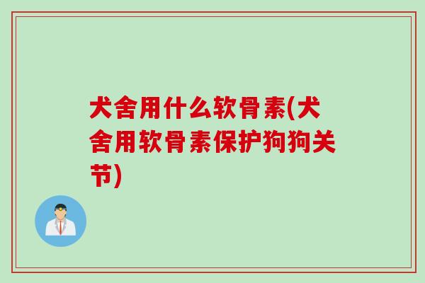 犬舍用什么软骨素(犬舍用软骨素保护狗狗关节)