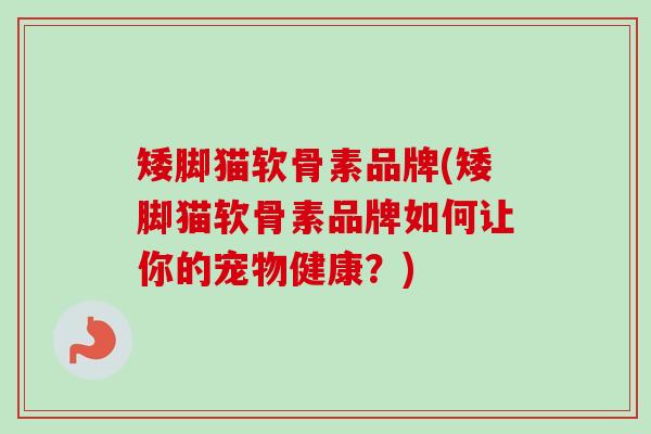矮脚猫软骨素品牌(矮脚猫软骨素品牌如何让你的宠物健康？)