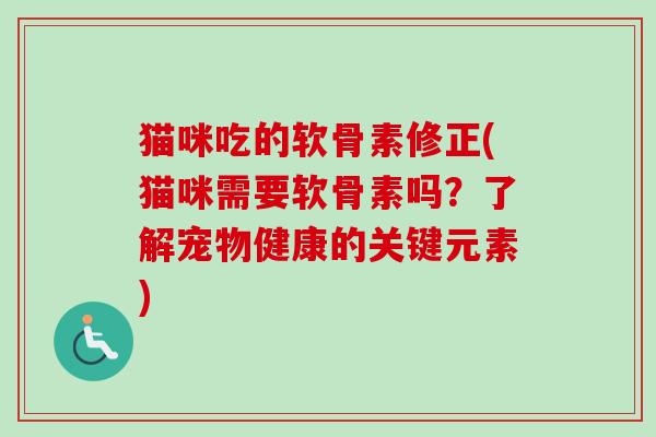 猫咪吃的软骨素修正(猫咪需要软骨素吗？了解宠物健康的关键元素)