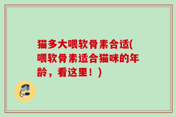 猫多大喂软骨素合适(喂软骨素适合猫咪的年龄，看这里！)