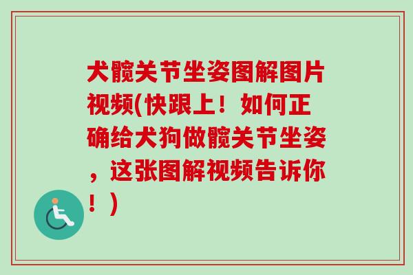 犬髋关节坐姿图解图片视频(快跟上！如何正确给犬狗做髋关节坐姿，这张图解视频告诉你！)