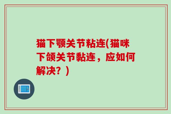 猫下颚关节粘连(猫咪下颌关节黏连，应如何解决？)