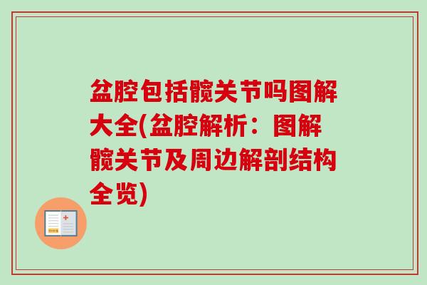 盆腔包括髋关节吗图解大全(盆腔解析：图解髋关节及周边解剖结构全览)