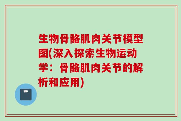 生物骨骼肌肉关节模型图(深入探索生物运动学：骨骼肌肉关节的解析和应用)