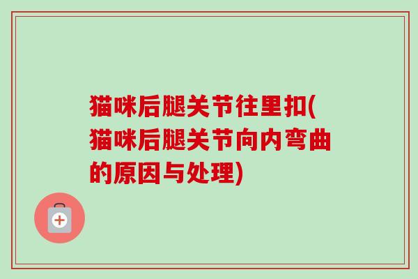 猫咪后腿关节往里扣(猫咪后腿关节向内弯曲的原因与处理)