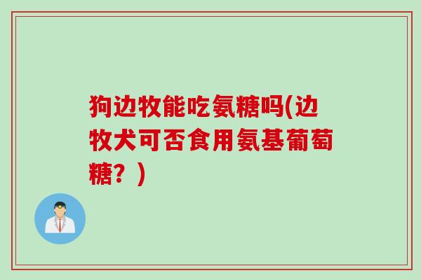 狗边牧能吃氨糖吗(边牧犬可否食用氨基葡萄糖？)