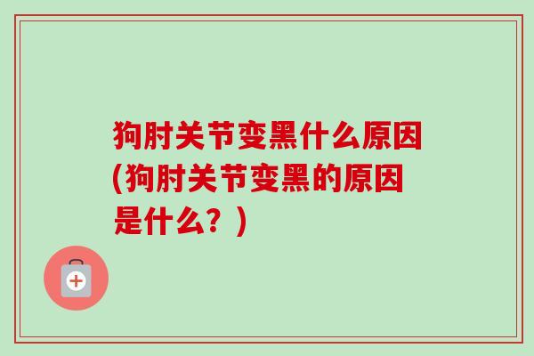 狗肘关节变黑什么原因(狗肘关节变黑的原因是什么？)