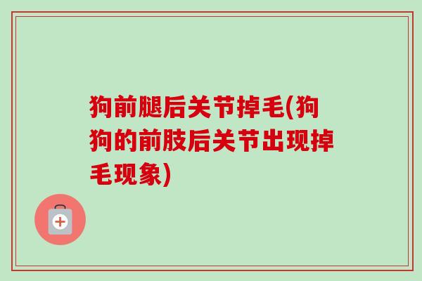 狗前腿后关节掉毛(狗狗的前肢后关节出现掉毛现象)