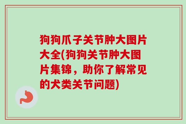 狗狗爪子关节肿大图片大全(狗狗关节肿大图片集锦，助你了解常见的犬类关节问题)