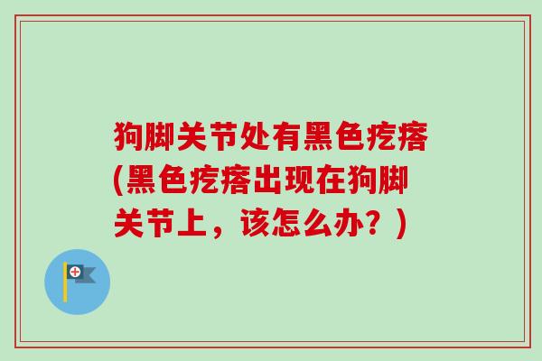 狗脚关节处有黑色疙瘩(黑色疙瘩出现在狗脚关节上，该怎么办？)