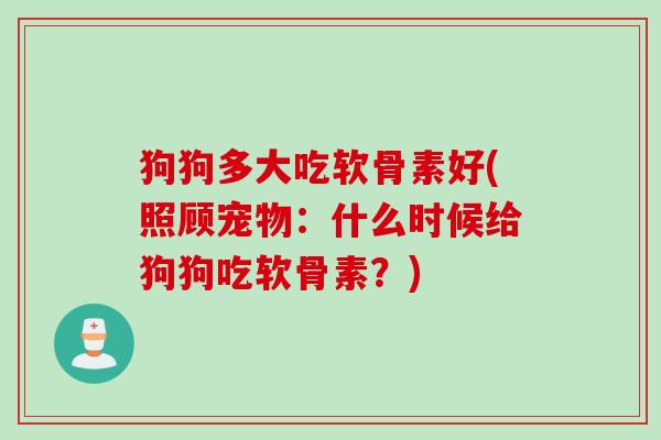 狗狗多大吃软骨素好(照顾宠物：什么时候给狗狗吃软骨素？)