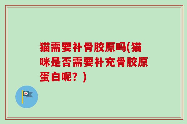 猫需要补骨胶原吗(猫咪是否需要补充骨胶原蛋白呢？)