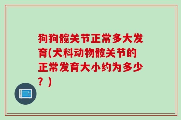 狗狗髋关节正常多大发育(犬科动物髋关节的正常发育大小约为多少？)