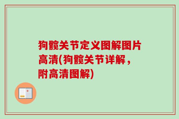 狗髋关节定义图解图片高清(狗髋关节详解，附高清图解)
