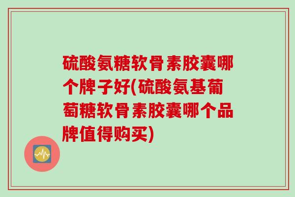 硫酸氨糖软骨素胶囊哪个牌子好(硫酸氨基葡萄糖软骨素胶囊哪个品牌值得购买)