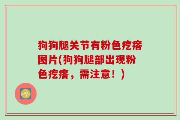 狗狗腿关节有粉色疙瘩图片(狗狗腿部出现粉色疙瘩，需注意！)