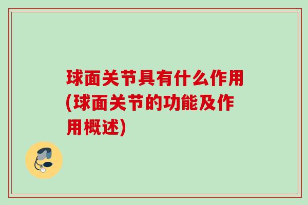 球面关节具有什么作用(球面关节的功能及作用概述)
