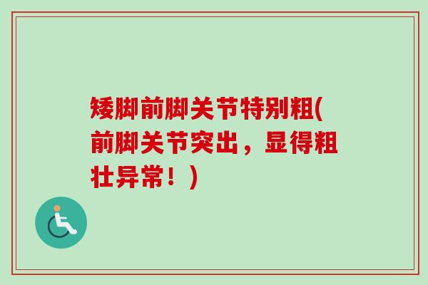 矮脚前脚关节特别粗(前脚关节突出，显得粗壮异常！)