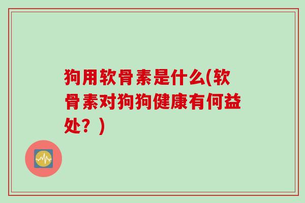 狗用软骨素是什么(软骨素对狗狗健康有何益处？)