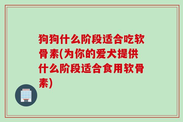狗狗什么阶段适合吃软骨素(为你的爱犬提供什么阶段适合食用软骨素)