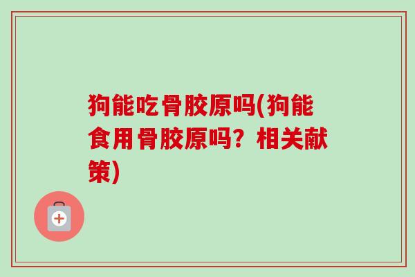 狗能吃骨胶原吗(狗能食用骨胶原吗?相关献策) 狗能吃骨胶原吗(狗能食用骨胶原吗?相关献策)