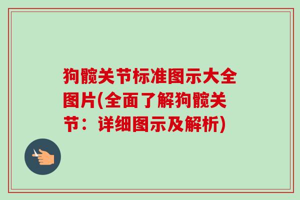 狗髋关节标准图示大全图片(全面了解狗髋关节：详细图示及解析)